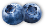 pickwick blueberry