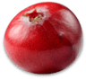pickwick cranberry