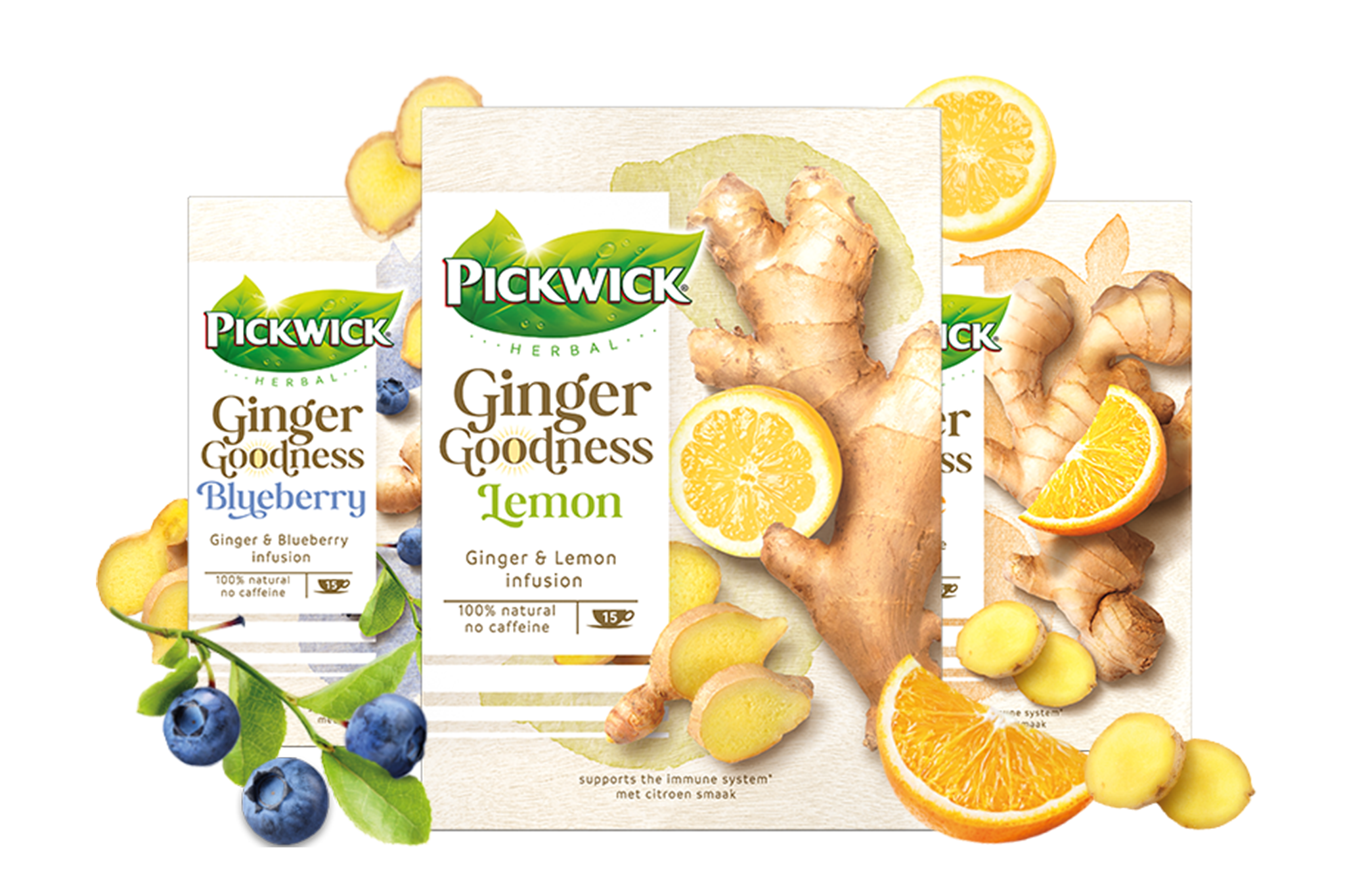 Ginger Goodness front page.png